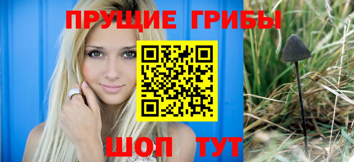 купить наркоту  Вход с VPN  Комсомольск-на-Амуре  Галлюциногенные грибы Psilocybine cubensis  Псилоцибиновые грибы GOLDEN TEACHER 